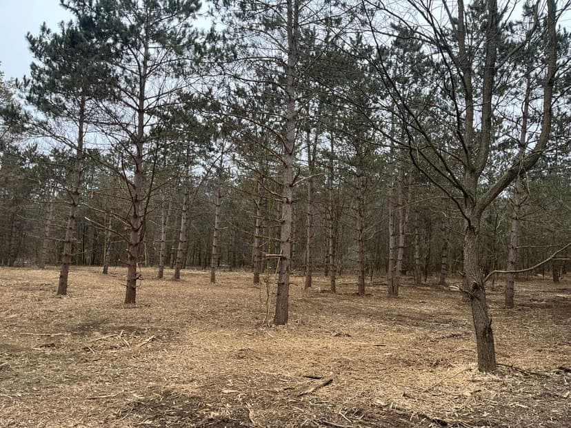 Unmatched Attention to Wildlife Habitat Restoration's image