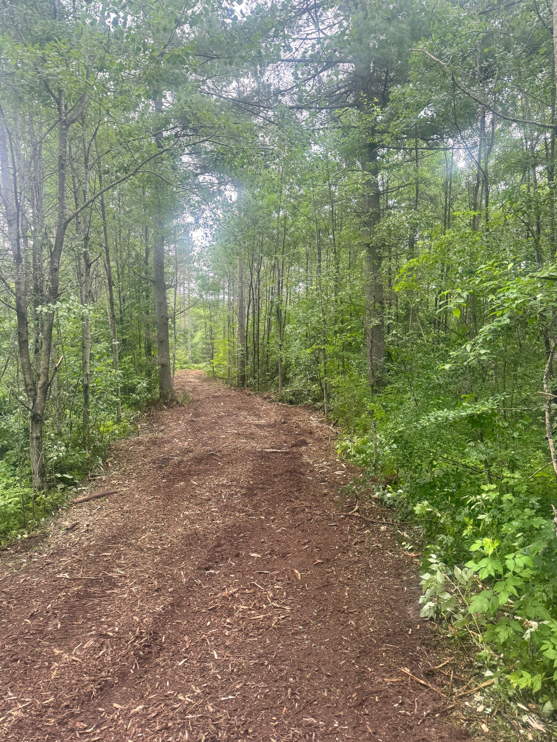 Gallery photos for New Ski Trail Cuts at Forbush Corner Resort in Frederic: Image #3