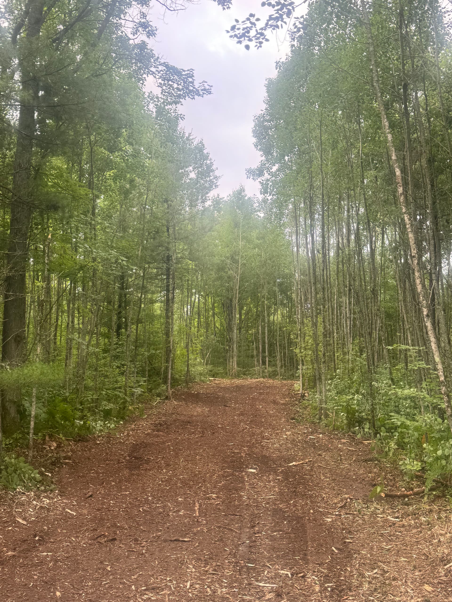 Gallery photos for New Ski Trail Cuts at Forbush Corner Resort in Frederic: Image #2