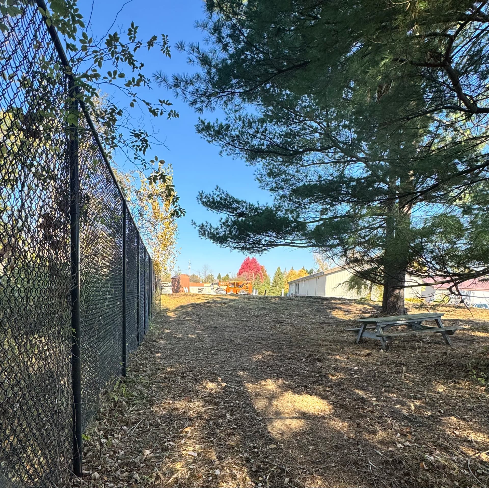 Gallery photos for Commercial Property Land Clearing Done Right: Image #3