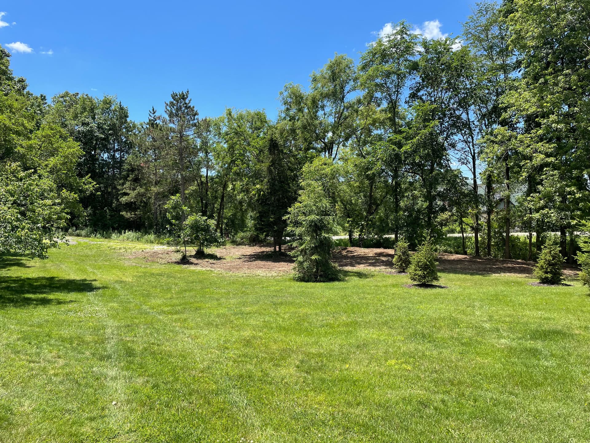 Gallery photos for Opening Up a Belmont Property With Smart Land Clearing: Image #3