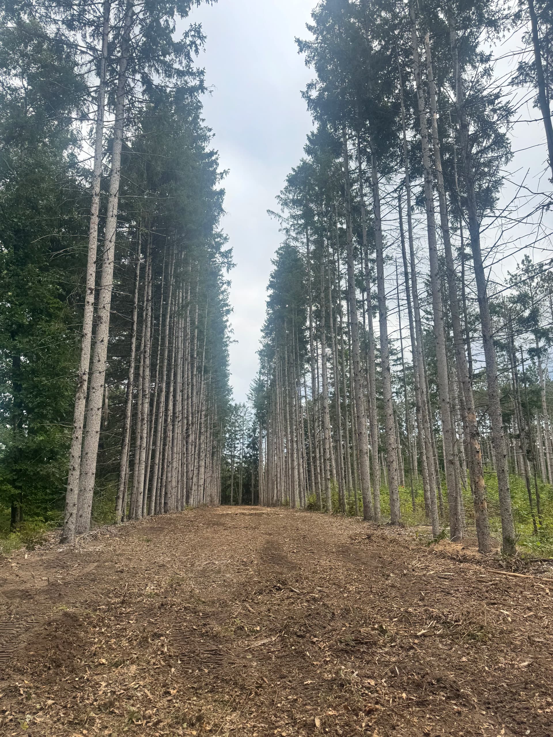 Shaping a West Michigan Property Into Something Special image