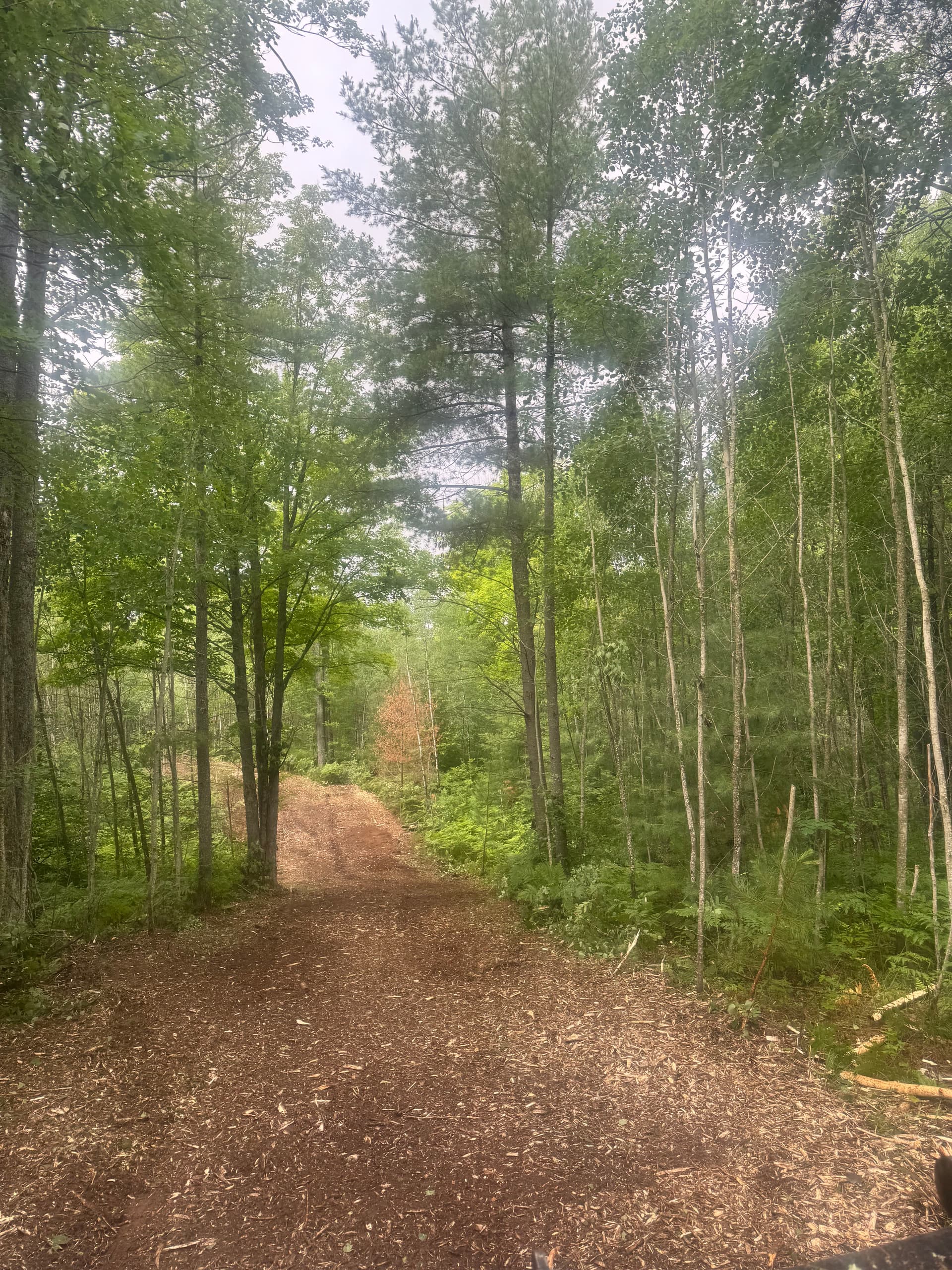 Gallery photos for New Ski Trail Cuts at Forbush Corner Resort in Frederic: Image #1