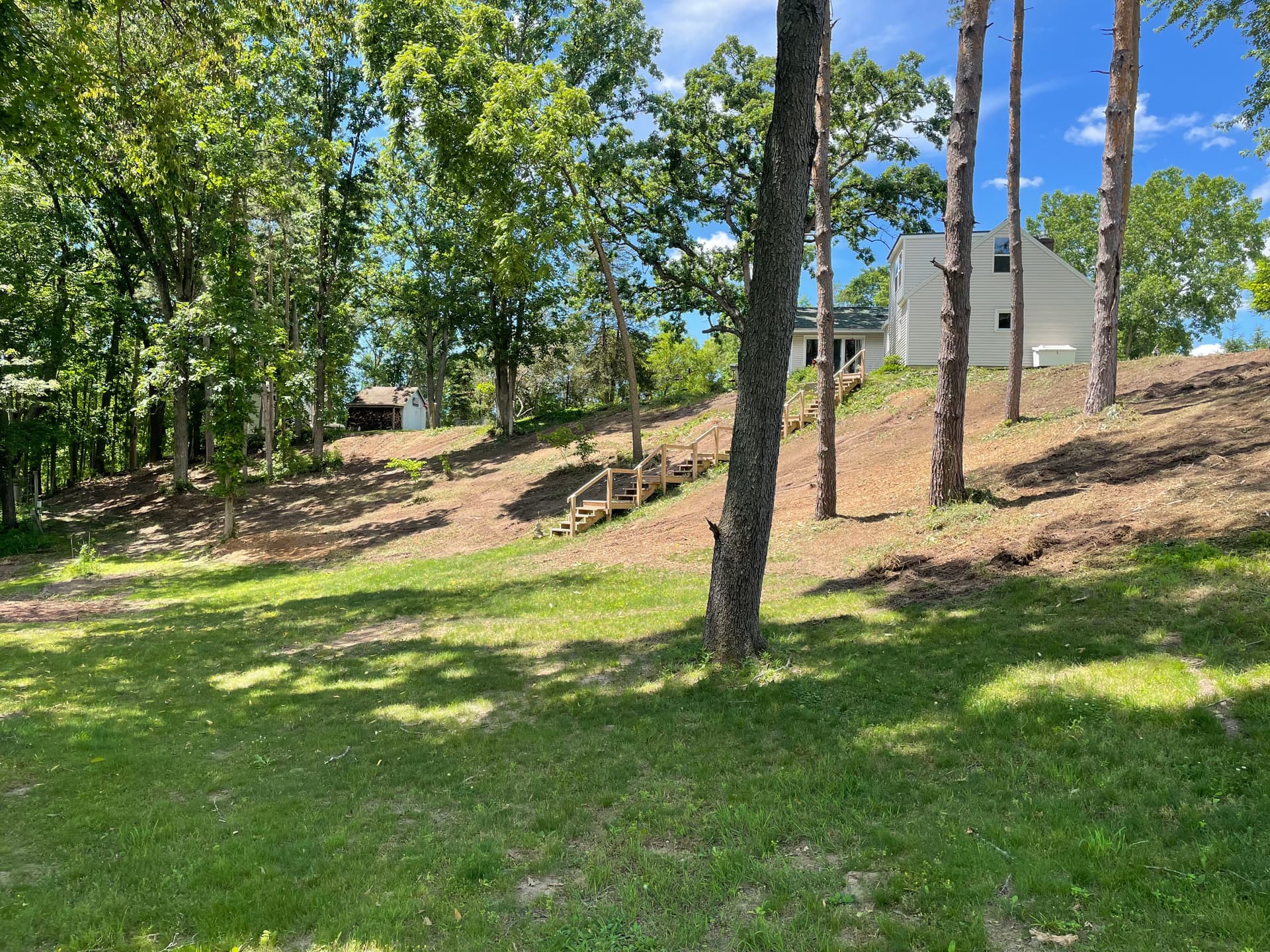 Gallery photos for Opening Up a Belmont Property With Smart Land Clearing: Image #2
