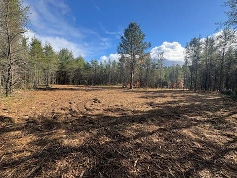 Forestry Mulching Project in Chase Michigan image