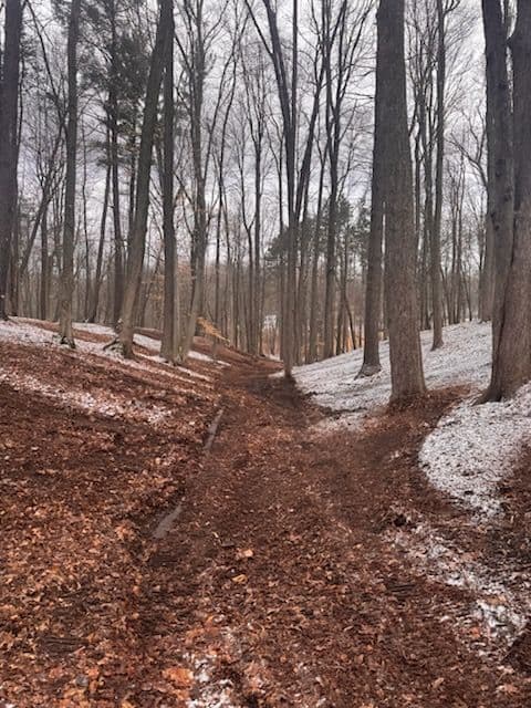 Gallery photos for Crafting Park-Like Scenery with Expert Land Management: Image #2