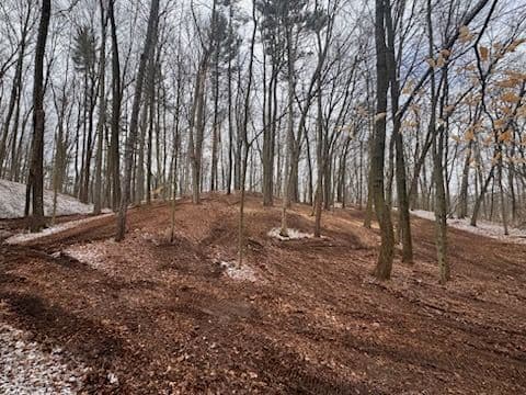 Gallery photos for Crafting Park-Like Scenery with Expert Land Management: Image #3