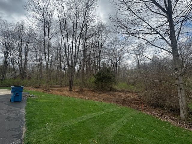 Storm Damage Cleanup and Brush Clearing Along a Residential Property Line image
