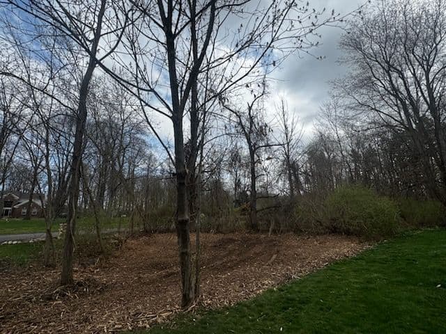 Gallery photos for Storm Damage Cleanup and Brush Clearing Along a Residential Property Line: Image #1